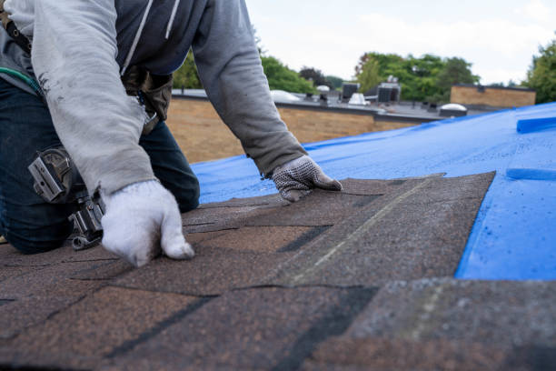 Best Storm Damage Roof Repair  in Craig Beach, OH