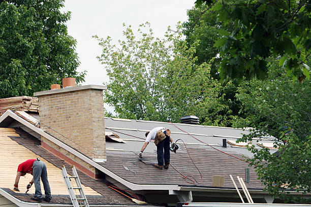 Best Roof Maintenance Services  in Craig Beach, OH