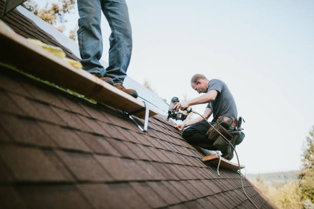 Quick and Trustworthy Emergency Roof Repair Services in Craig Beach, OH